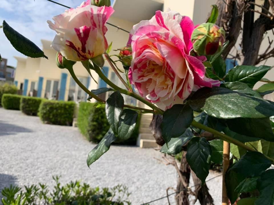 Hotel L'Etape فينوف لوبيه المظهر الخارجي الصورة